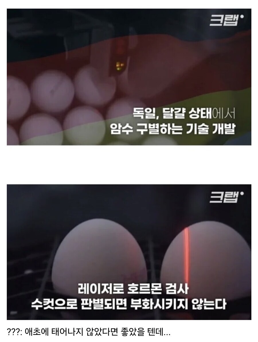 ?? : 애초에 태어나지 않았다면 좋았을 텐데_1.jpg