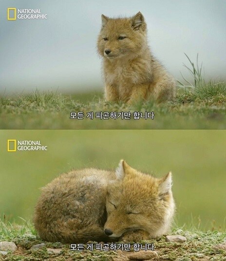 불륜은 아무나 할 수 있는 것이 아니다_2.jpg