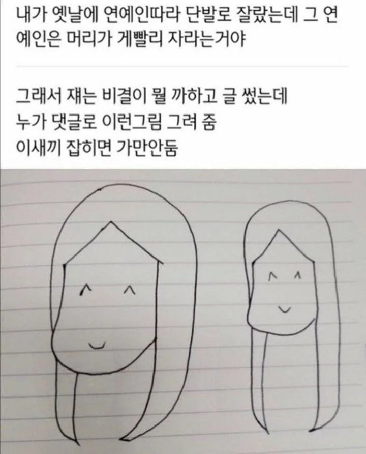 연예인은 머리가 빨리 자라는 이유.jpg_1.webp