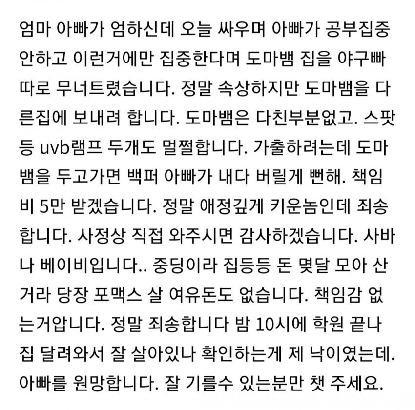 도마뱀 좋아하는 중학생이 당한 정신적 상처_2.jpg