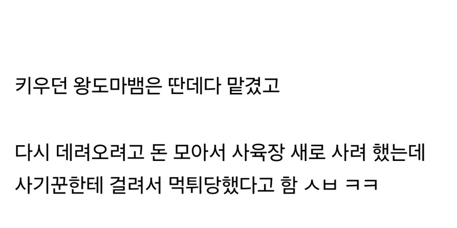 도마뱀 좋아하는 중학생이 당한 정신적 상처_4.jpg