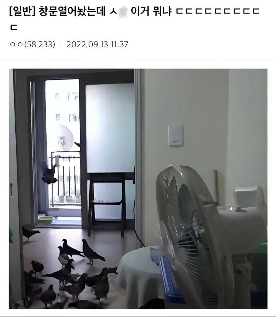 창문 열어놨는데 이거 뭐냐 ㄷㄷㄷㄷㄷㄷㄷ_1.jpg