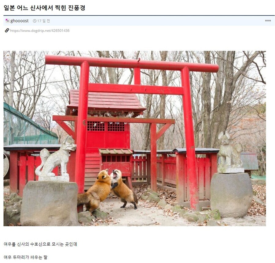 여우신사 특_1.jpg