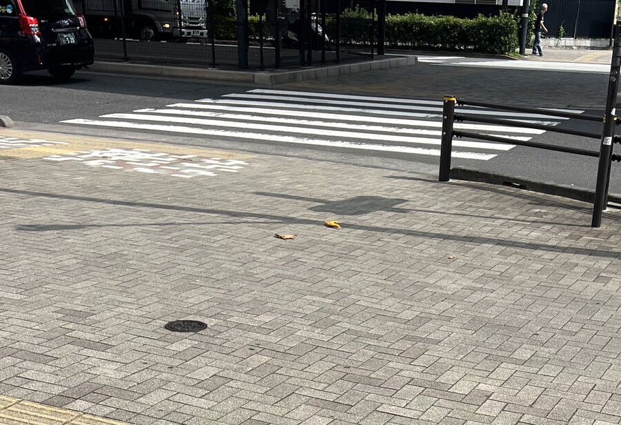 길바닥에 굴러다니는 낙엽.jpg_1.jpg