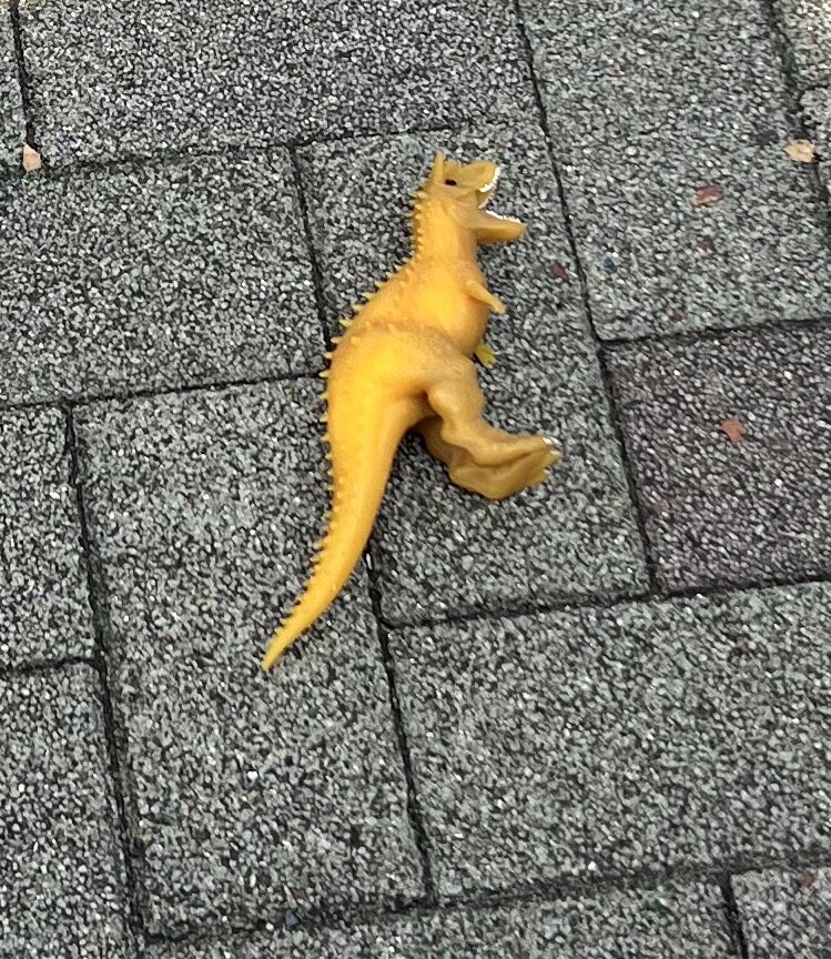 길바닥에 굴러다니는 낙엽.jpg_3.jpg