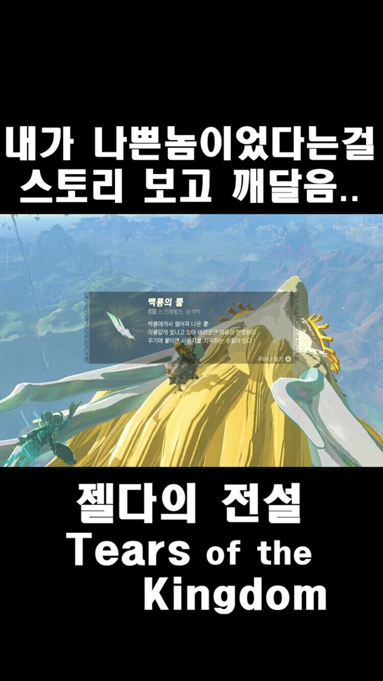 젤다 왕눈 스토리 보고 후회하는 사람들이 많은 이유_1.jpg