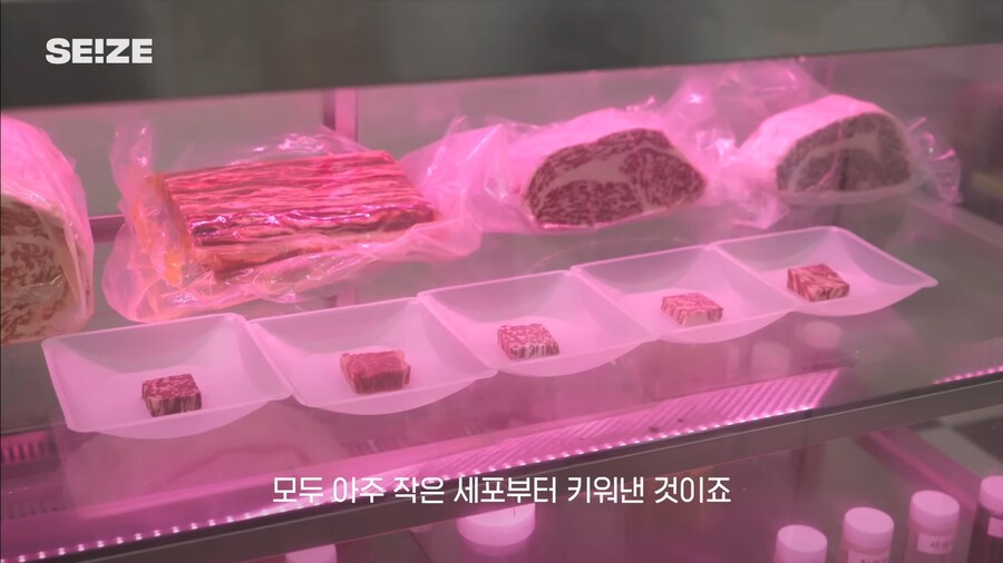 배양육 실험실 장비_2.jpg