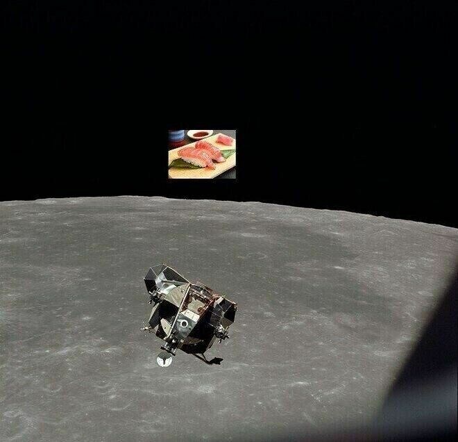 달에서 바라본 일식 ㄷㄷ_1.jpg