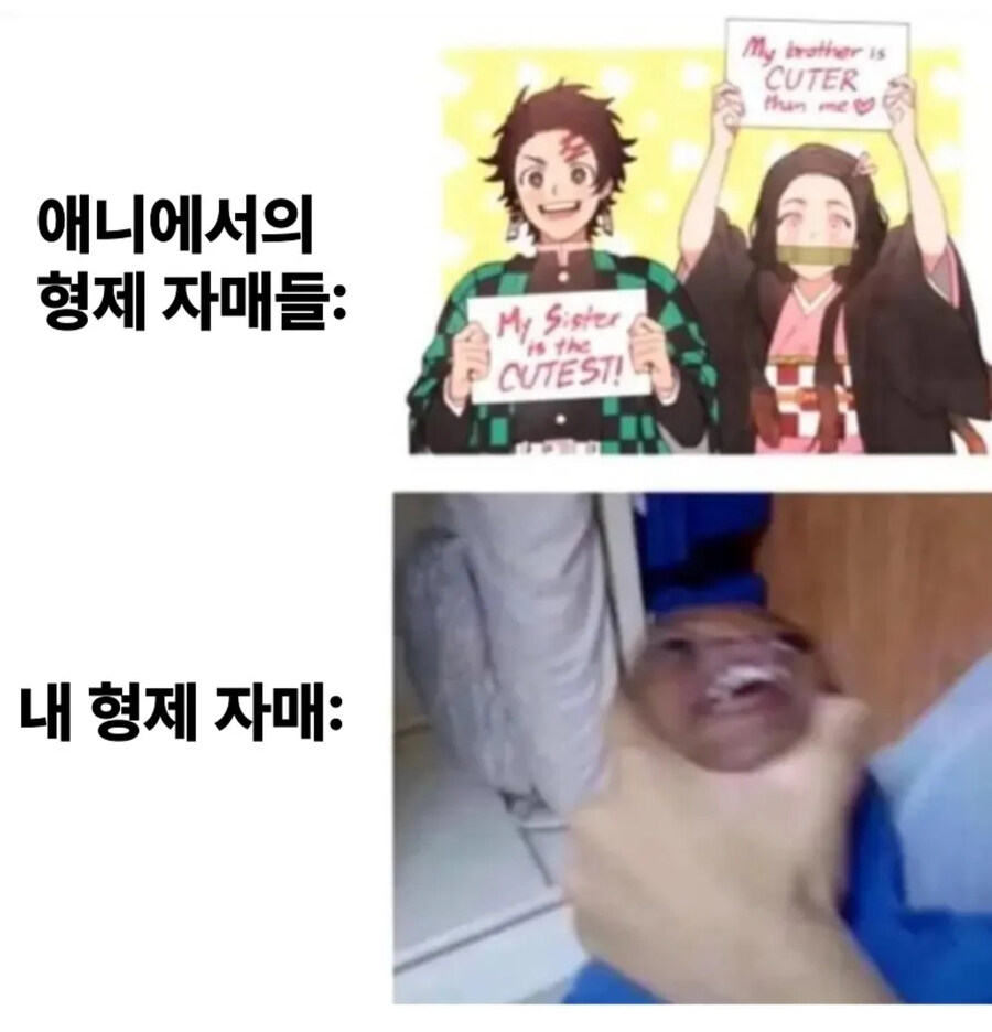애니 형제자매 특_1.jpg