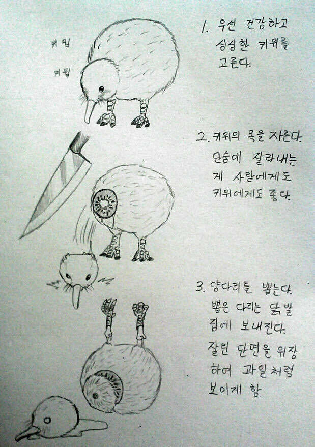 키위 과일 재배하는 법_1.jpg