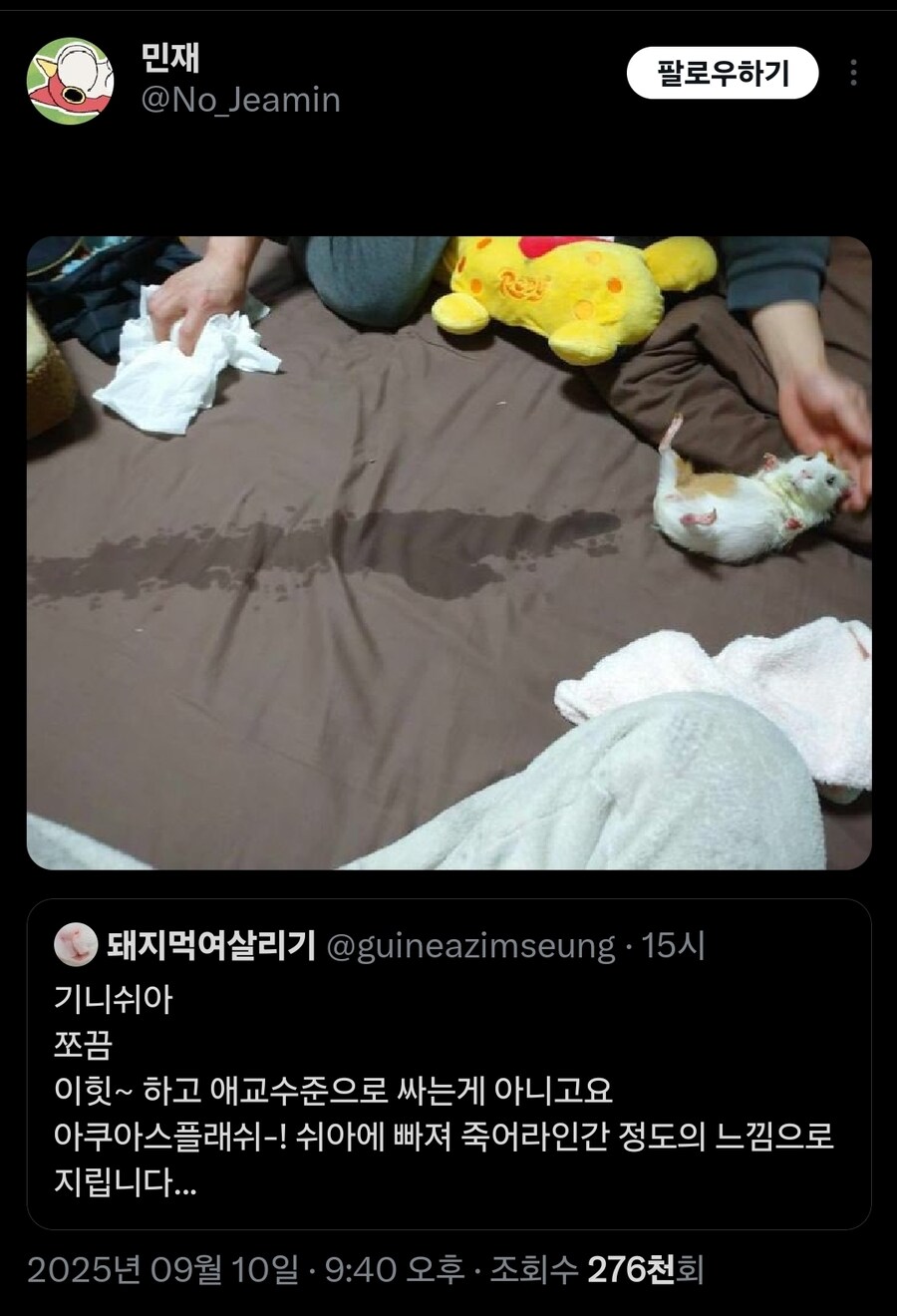 기니피그 : 아쿠아 스플래쉬!!!_1.jpg
