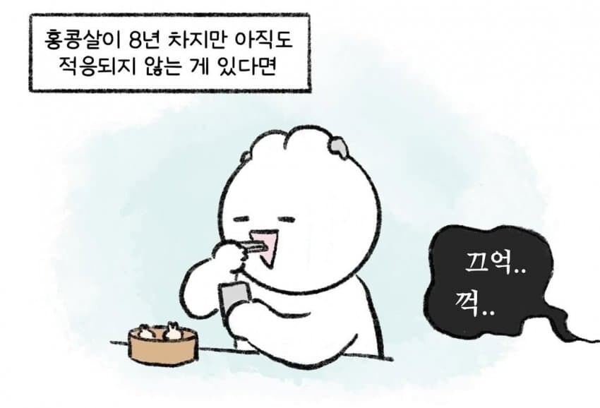 홍콩의 잦같은 문화컬쳐_1.jpg