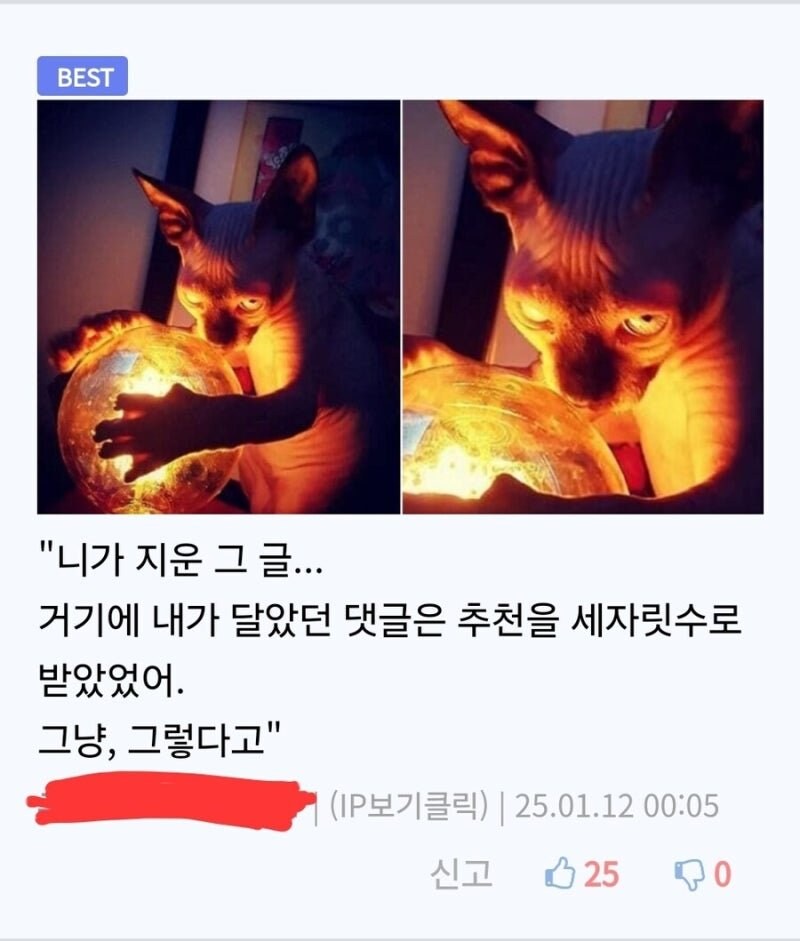 역수입) 게시글 함부로 삭제하면 안되는 이유.jpg_1.jpg