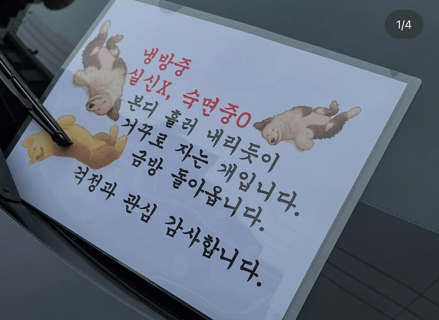개 방치로 4번이나 신고당한 견주.JPG_3.jpg