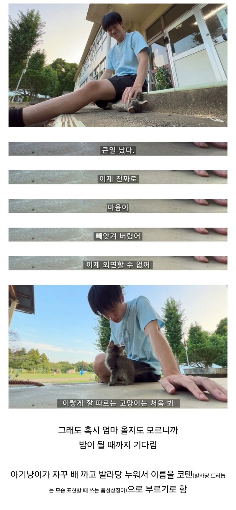 폐교에서 고양이를 주운 일본 유튜버.jpg_3.png