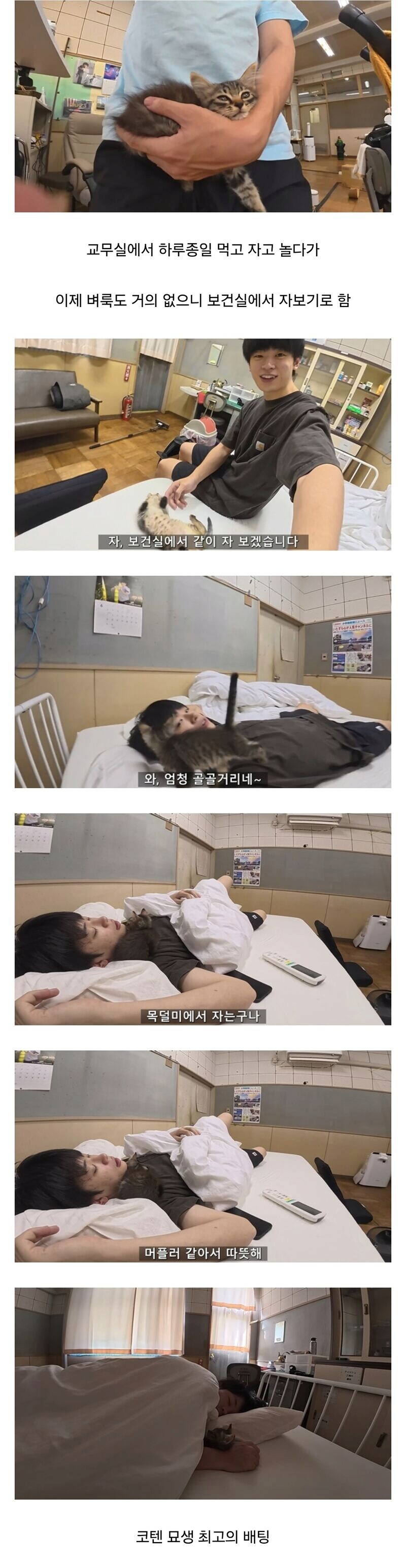 폐교에서 고양이를 주운 일본 유튜버.jpg_5.png