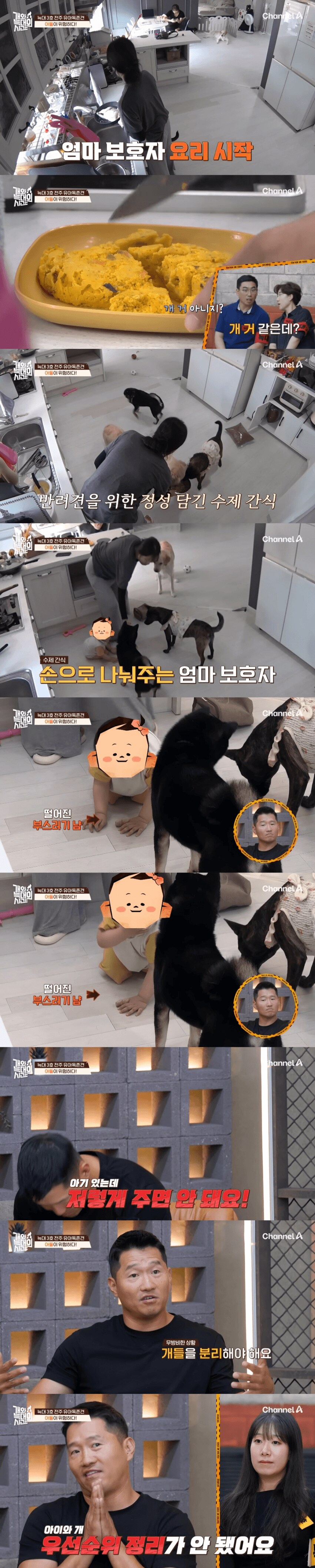 내.새.끼 개.새.끼 구분못하는사람._2.png
