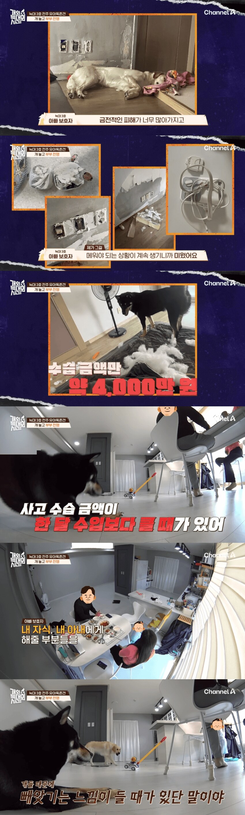 내.새.끼 개.새.끼 구분못하는사람._4.png