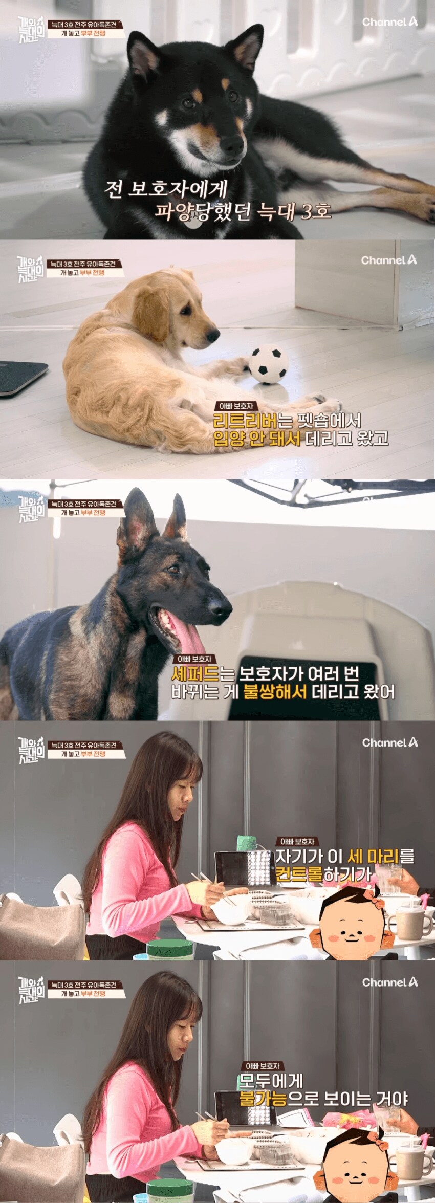 내.새.끼 개.새.끼 구분못하는사람._5.png