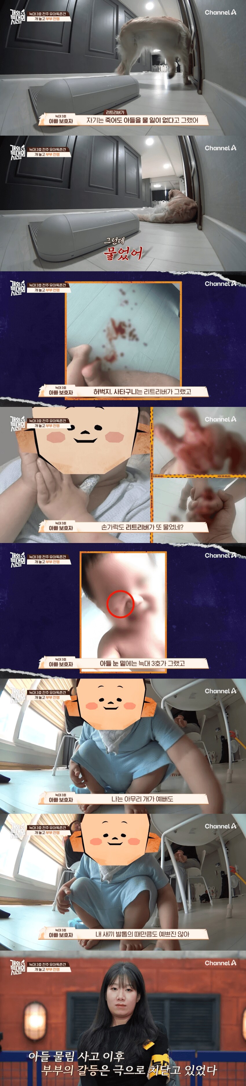 내.새.끼 개.새.끼 구분못하는사람._6.png