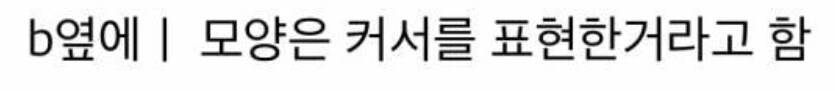 반응 안좋은 바뀐 네이버 블로그 로고_2.png
