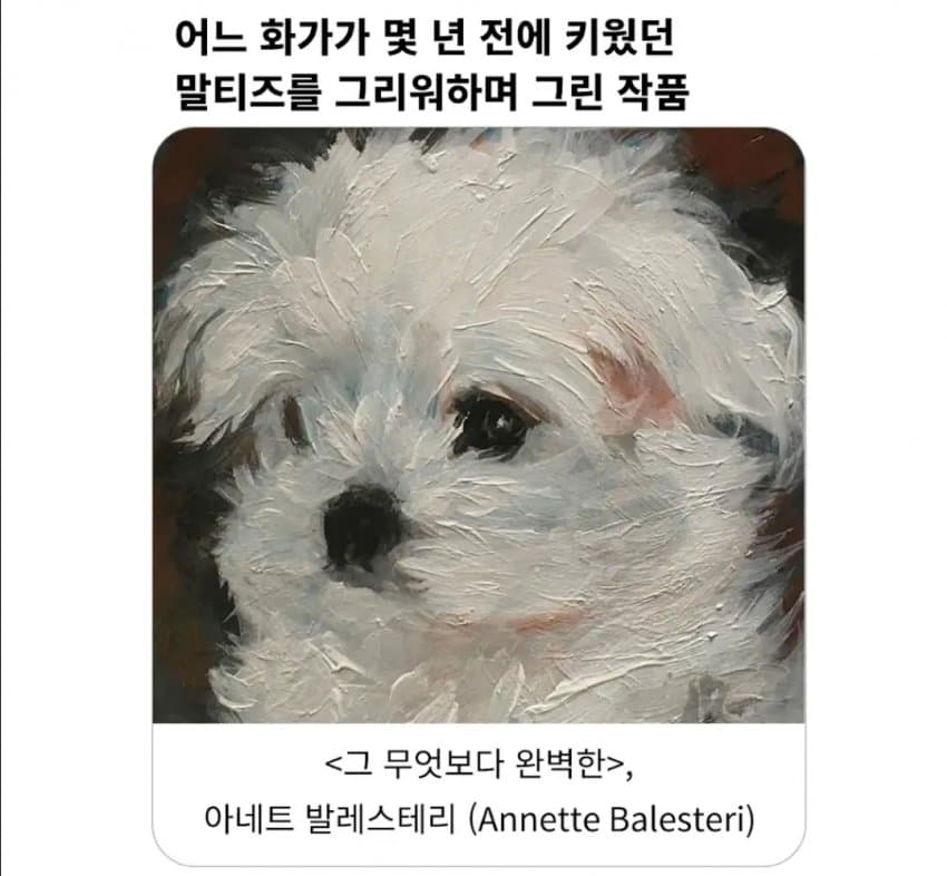 죽은 강아지 기리는 작품.jpg_1.webp