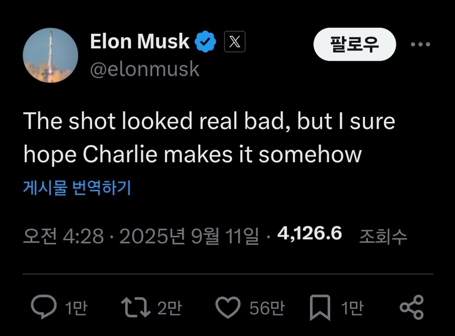일론 머스크