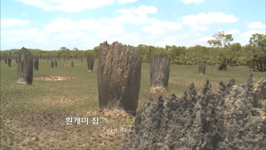 kbs 십상남자 촬영팀_1.png
