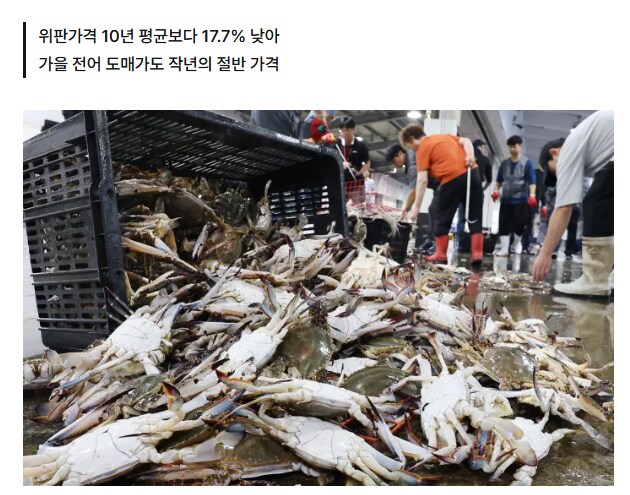 꽃게 전어 역대급 최대 어획... 절반 가격까지 도매가 급락_2.png
