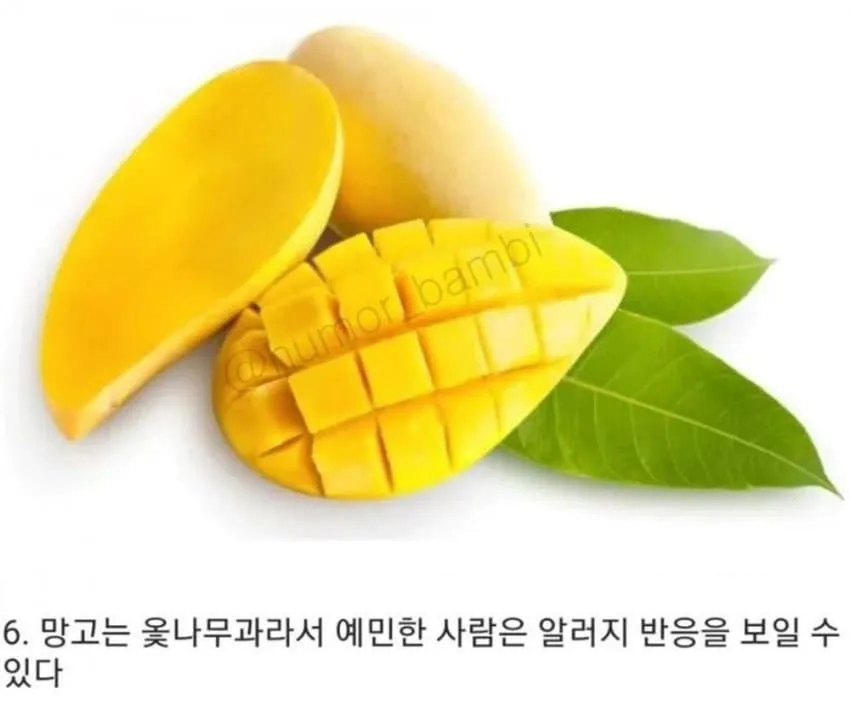 몰라도 상관없는 과일 상식 10가지_6.webp