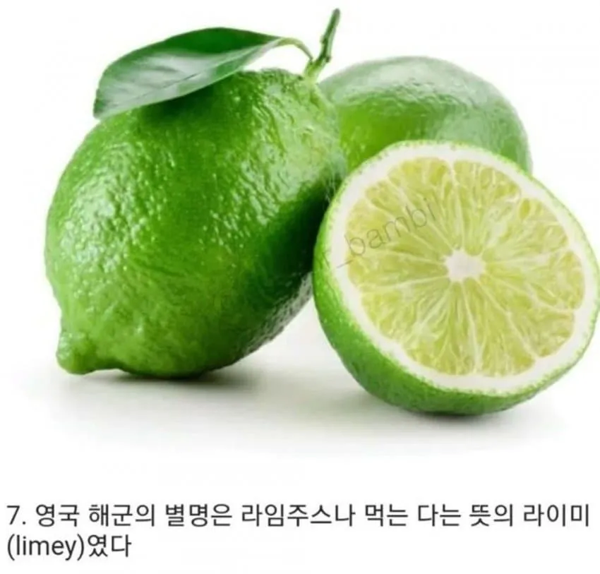 몰라도 상관없는 과일 상식 10가지_7.webp