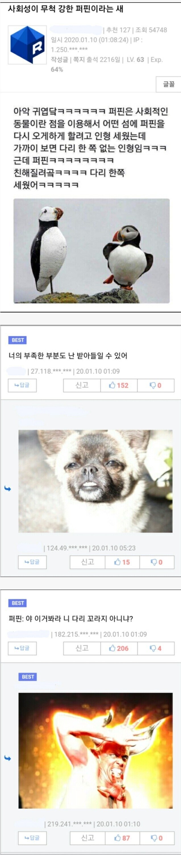 사회성이 강한새.jpg_1.jpg