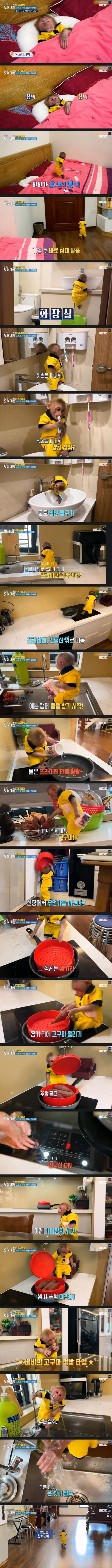 얘는 솔직히 인간 시켜줘라_1.jpg