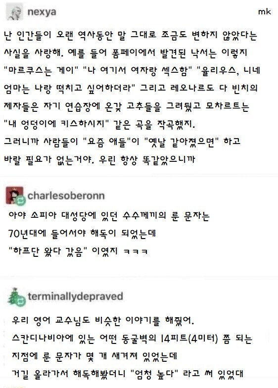 동굴벽에 새겨져 있던 룬 문자의 비밀_1.png