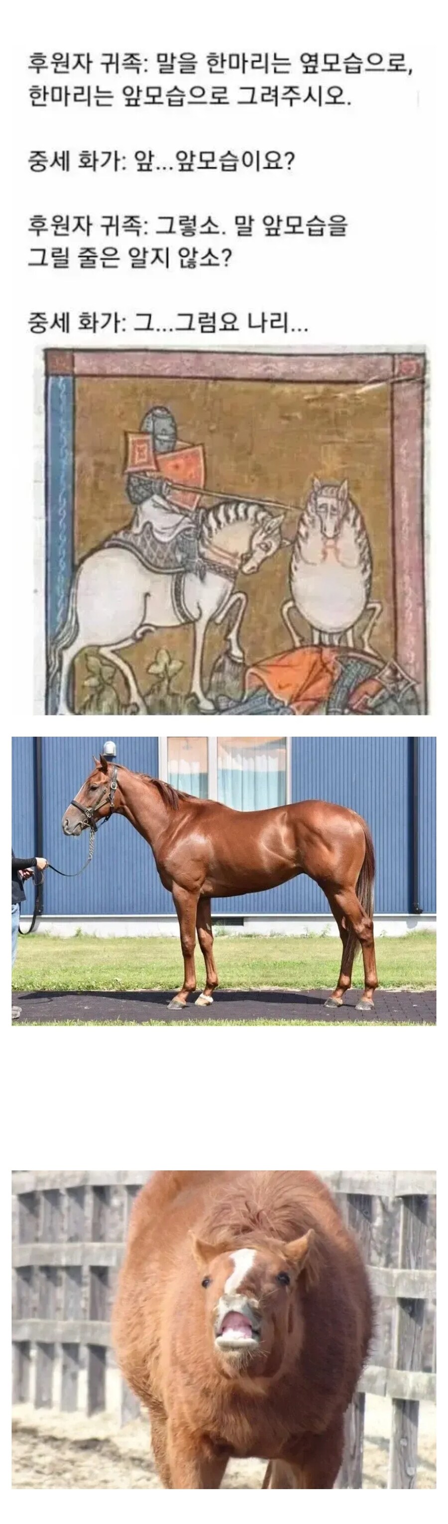 말을 앞모습으로 그린 벽화가 많이 없는 이유.jpg_1.jpg
