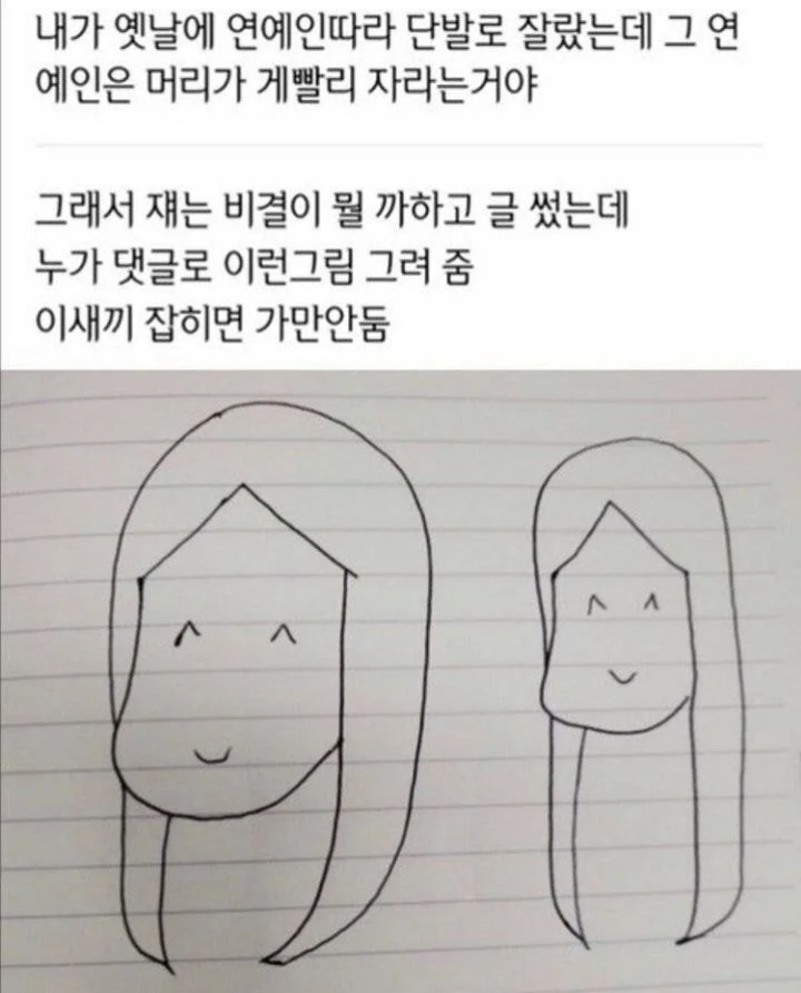 연애인들 머리카락이 빨리 자라는 이유_1.webp