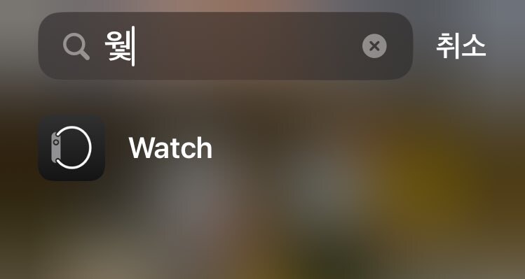 애플 iOS 한글 검색 미스테리.jpg_2.jpg