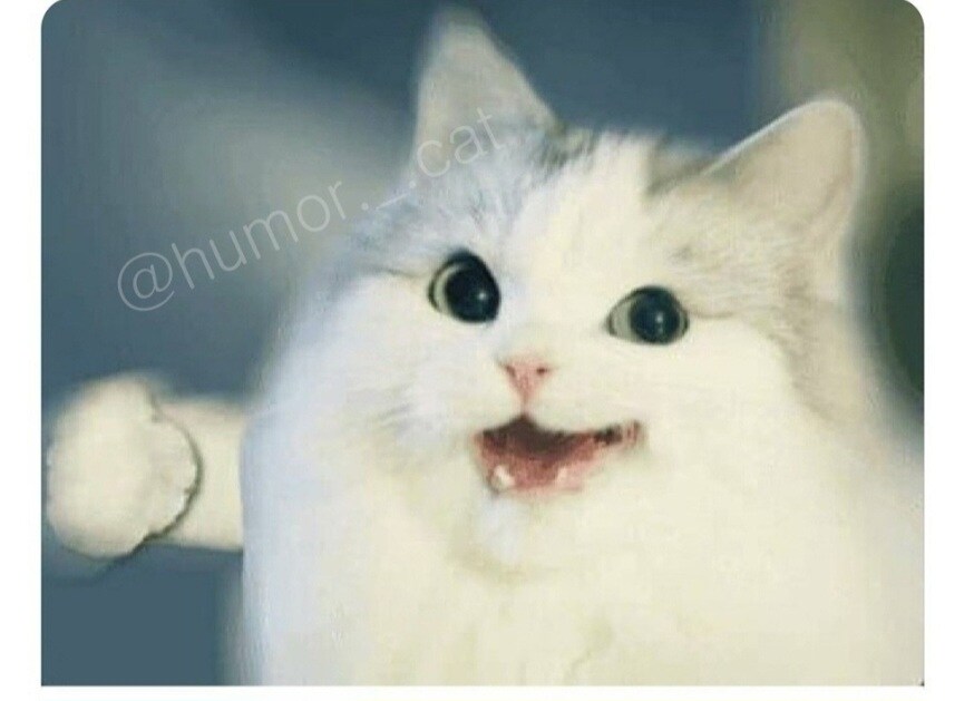 이 초능력 알약들 중 두 개만 먹을 수 있다면?_2.jpg