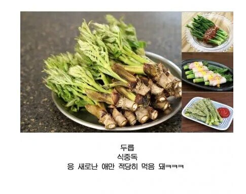 독초도 요리해서 먹는 한국인_1.jpg