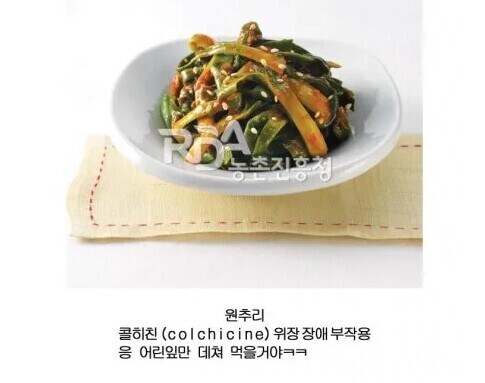 독초도 요리해서 먹는 한국인_2.jpg