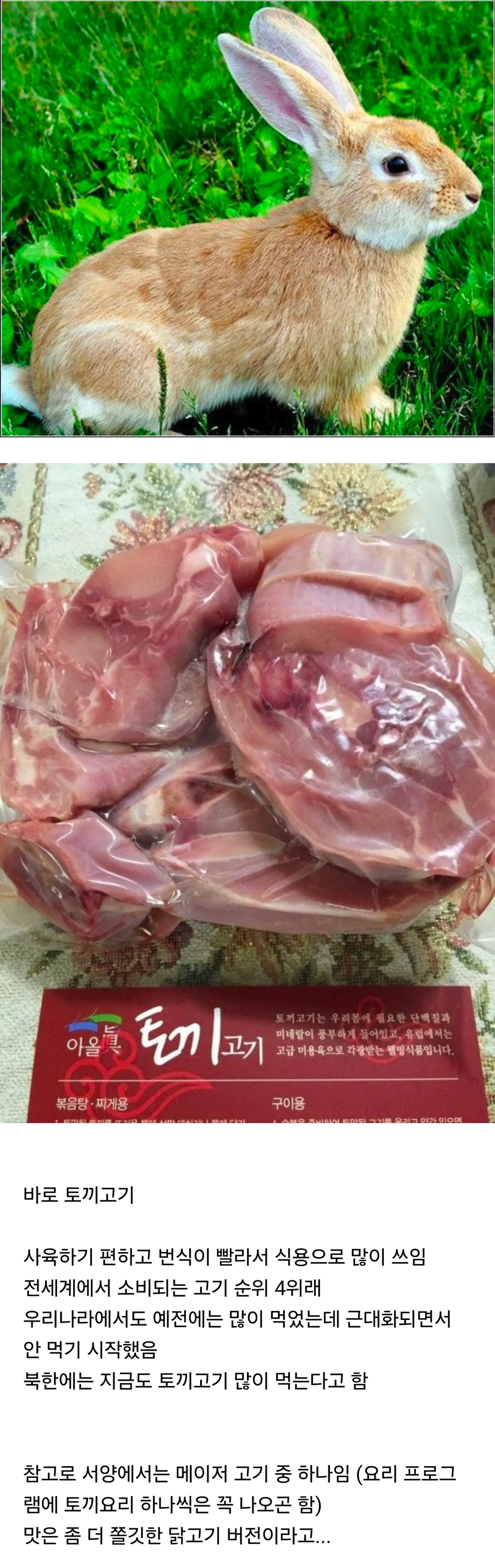 전세계 4위 소비량을 자랑하는 토끼고기.jpg_3.webp