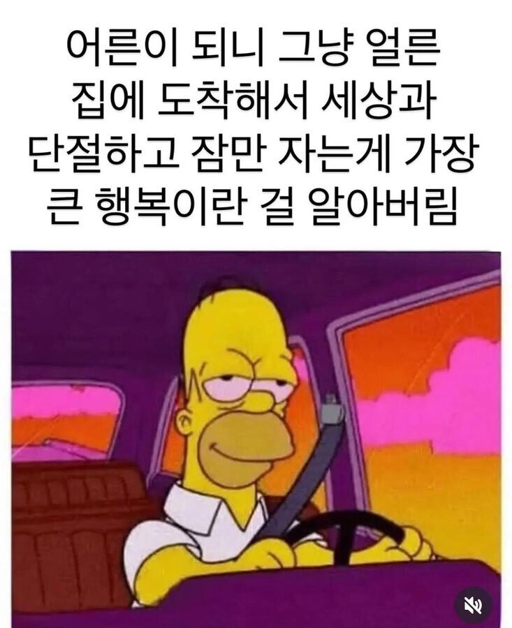 어른이 되고 깨달은 가장 큰 행복_1.jpg
