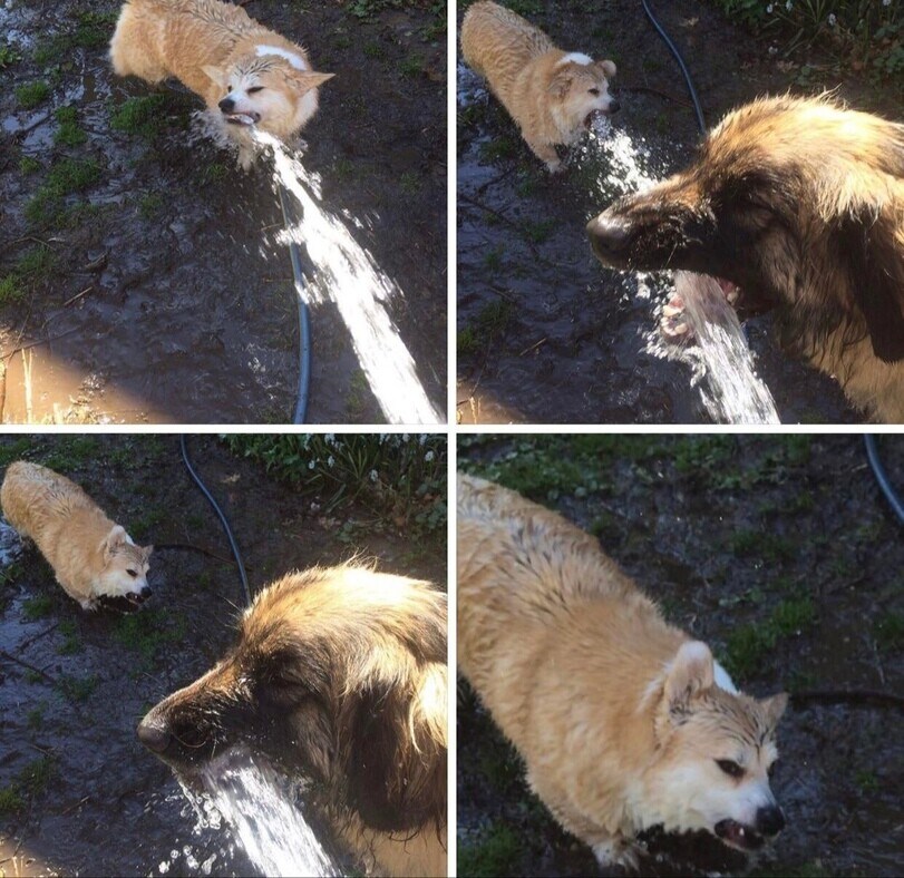 낙수 효과 특_1.jpg