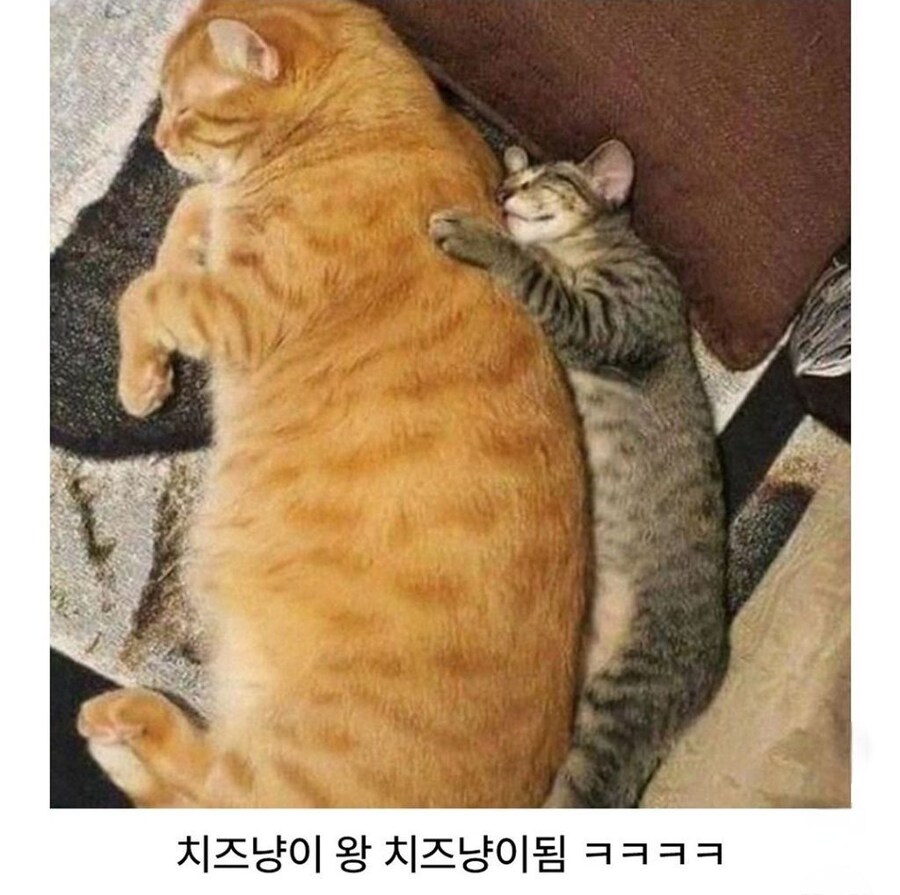비슷한 조랭이떡_3.jpg