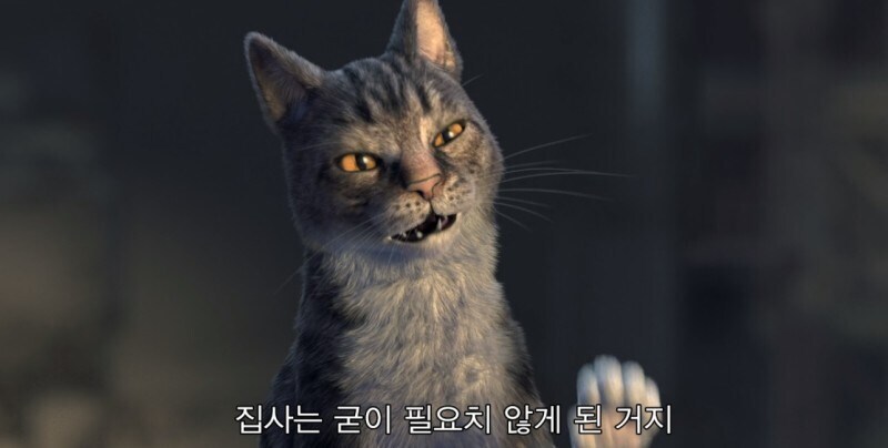 지금까지 몰랐던 세계지도의 진실_2.jpg