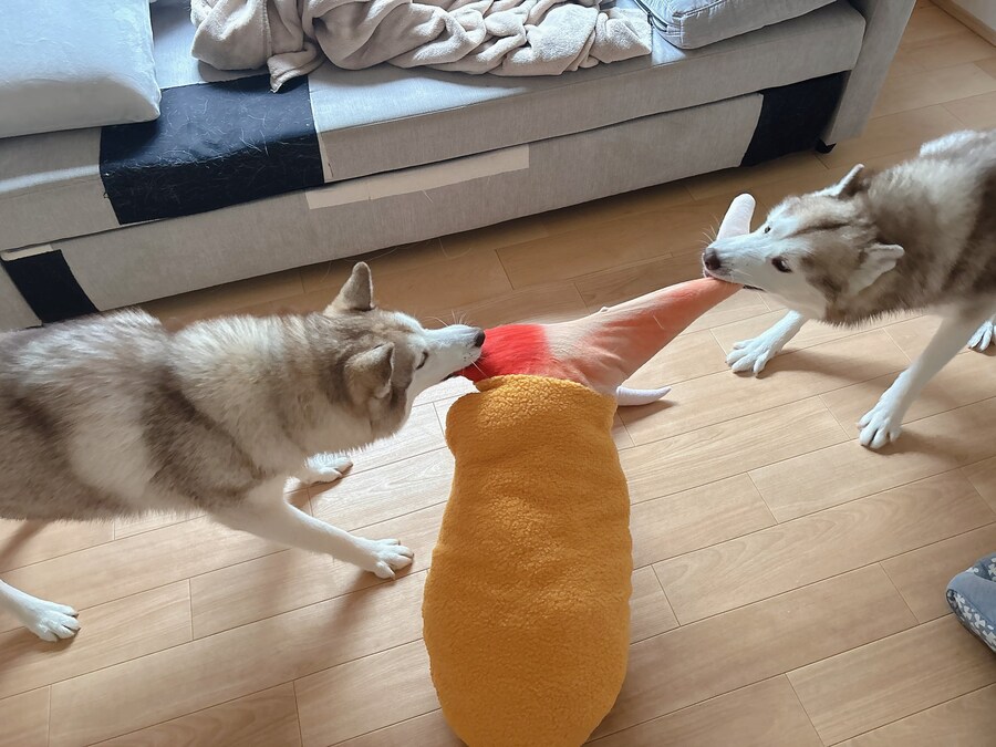 대게다리:제발! 둘 다 나때문에 싸우지 말아줘!!_2.jpg