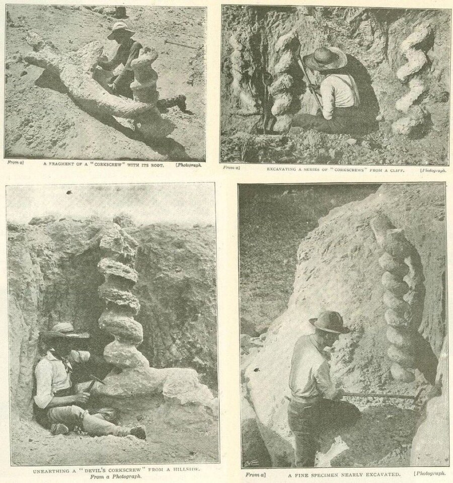 19세기 과학자가 발견한 악마의 나선_2.png
