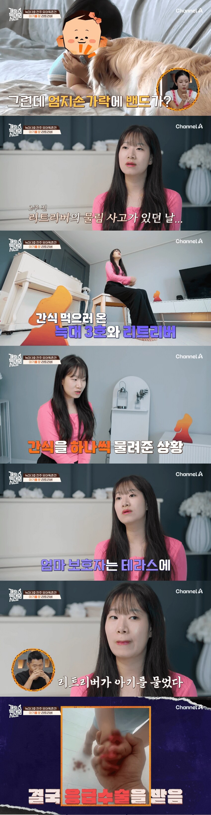 솔찍히 정신병으로 밖에 안보임.._1.png