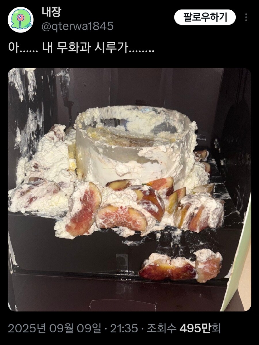 무화과 케이크를 엎질렀다.jpg_1.png