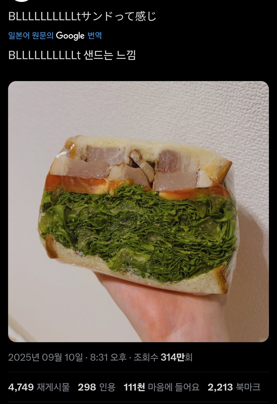 BLLLLLLLLLt 샌드위치_1.jpg